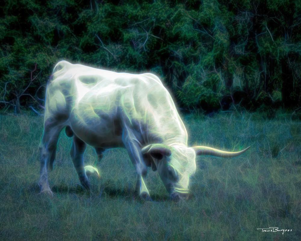 Ghost Bull